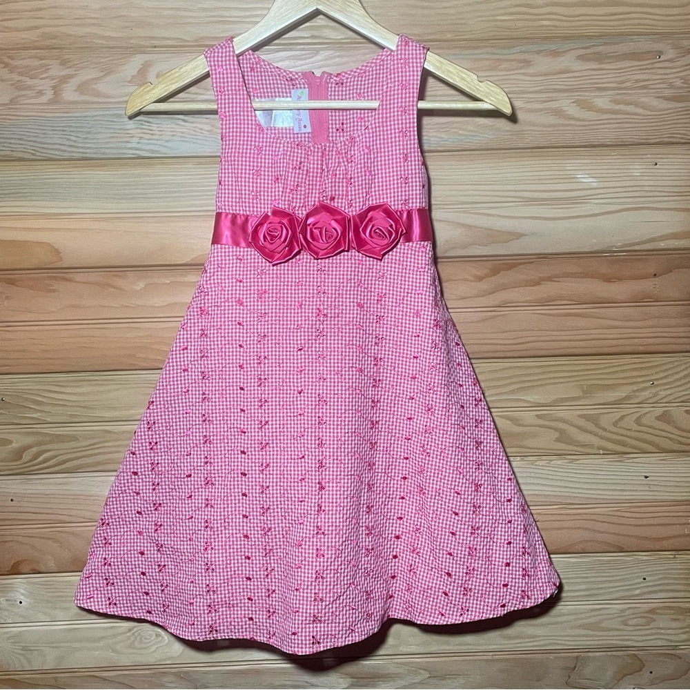 Ashley Ann Pink & White Checkered Girls Dress Size 8